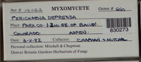 Image Associated With the Occurence